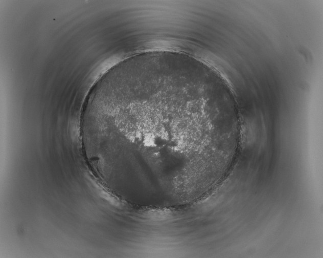 X0000111880882200907231533
