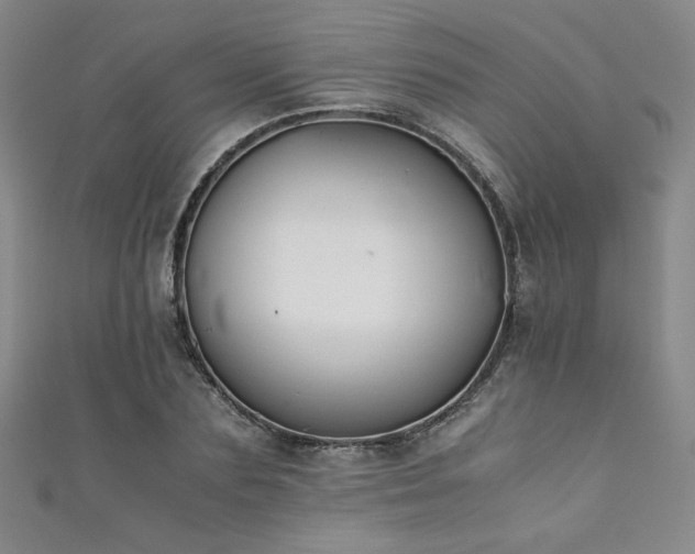 X0000111880883200907231533