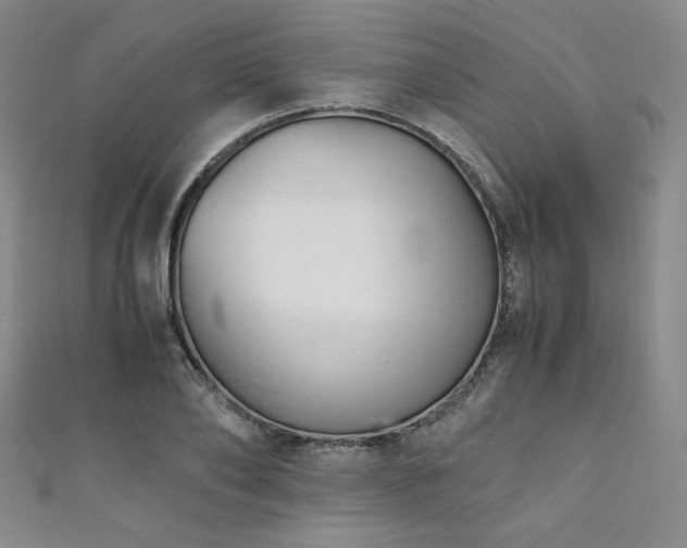 X0000111880886200907231533