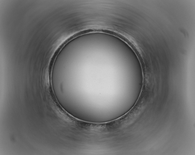 X0000111880887200907231533