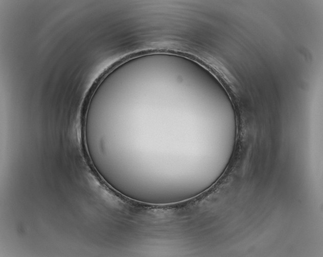 X0000111880888200907231533