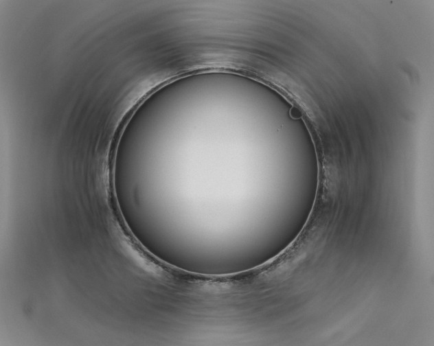 X0000111880890200907231533