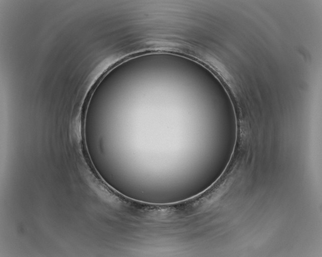X0000111880891200907231533