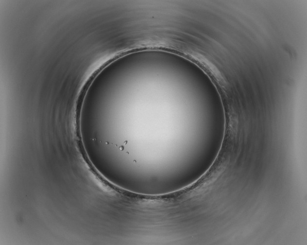 X0000111880894200907231533