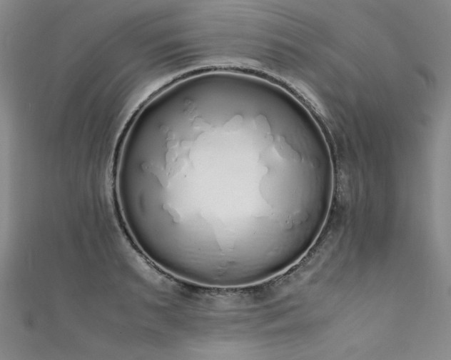 X0000111880895200907231533