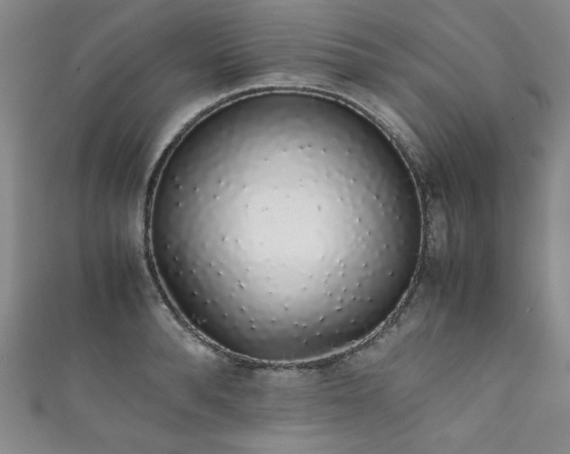 X0000111880896200907231533