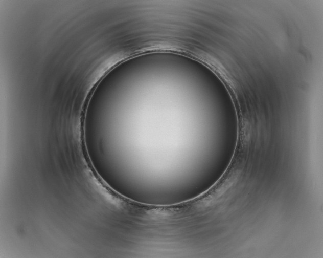 X0000111880898200907231533