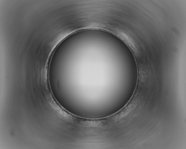 X0000111880900200907231533