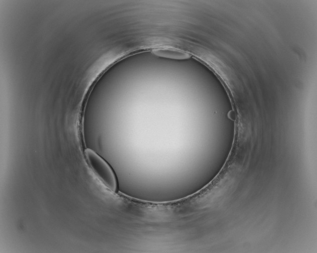 X0000111880901200907231533