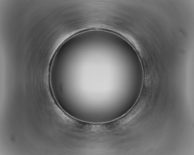 X0000111880903200907231533