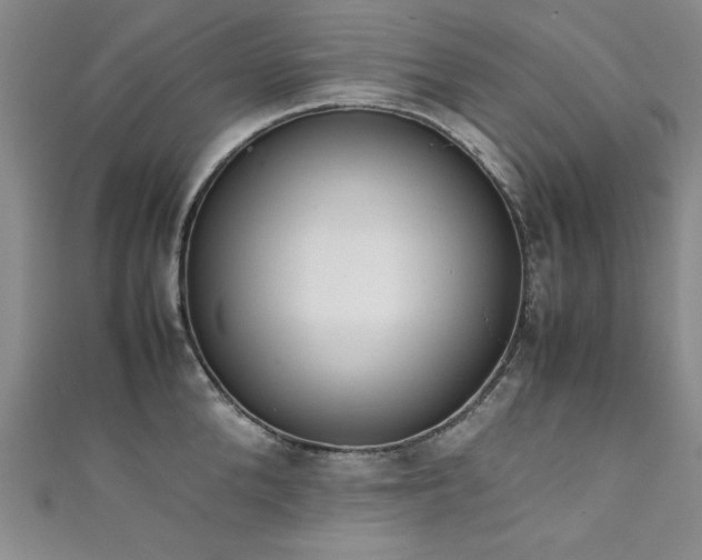 X0000111880904200907231533