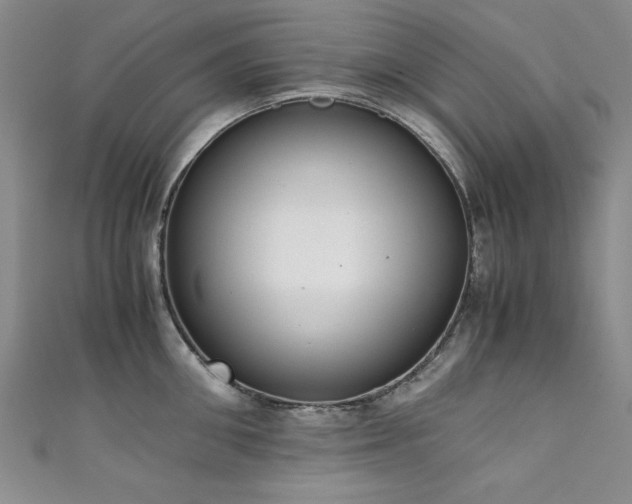 X0000111880906200907231533