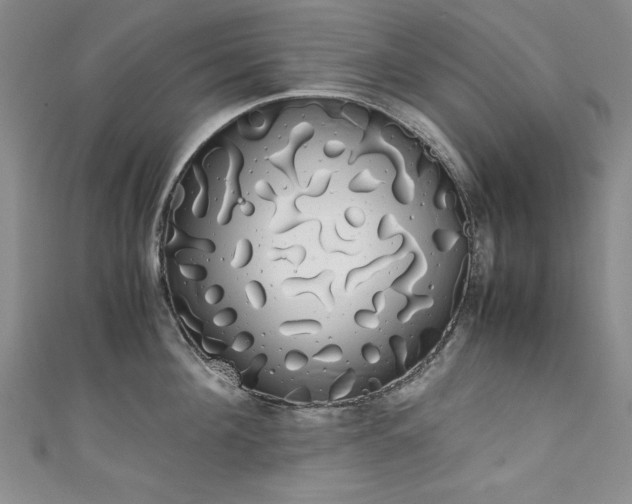 X0000111880908200907231533