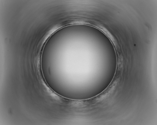 X0000111880909200907231533