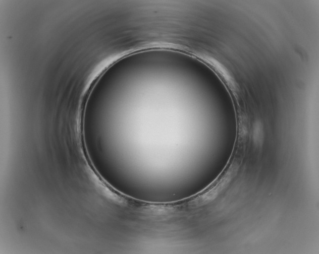 X0000111880910200907231532