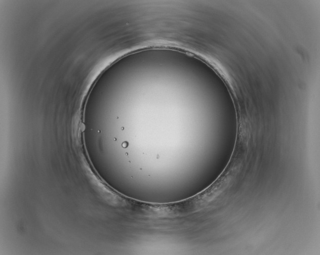 X0000111880911200907231532