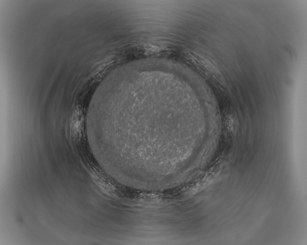 X0000111880914200907231532
