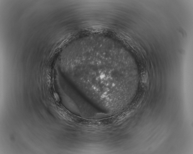 X0000111880916200907231532