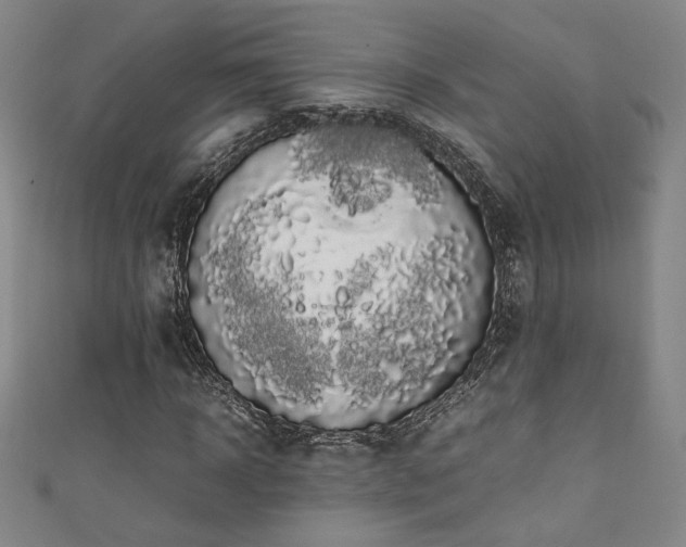 X0000111880918200907231532