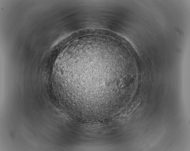 X0000111880919200907231532