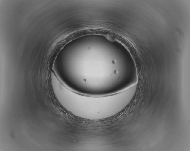 X0000111880920200907231532