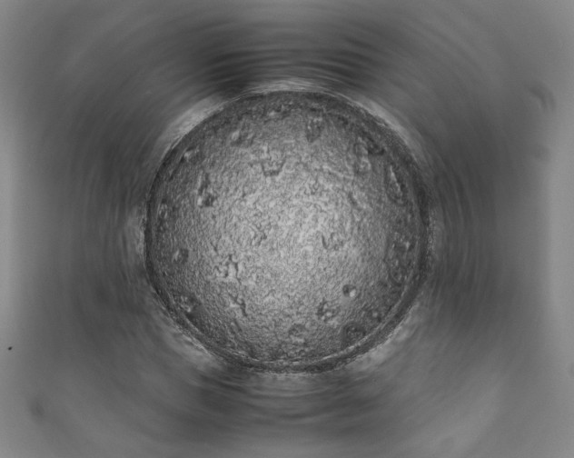 X0000111880921200907231532