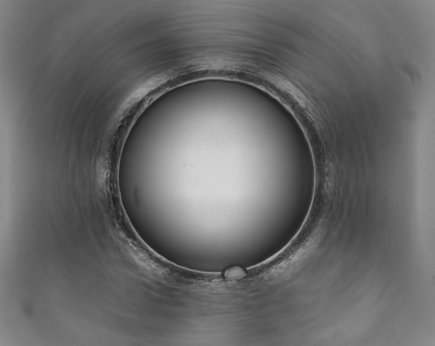 X0000111880922200907231532