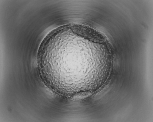 X0000111880924200907231532
