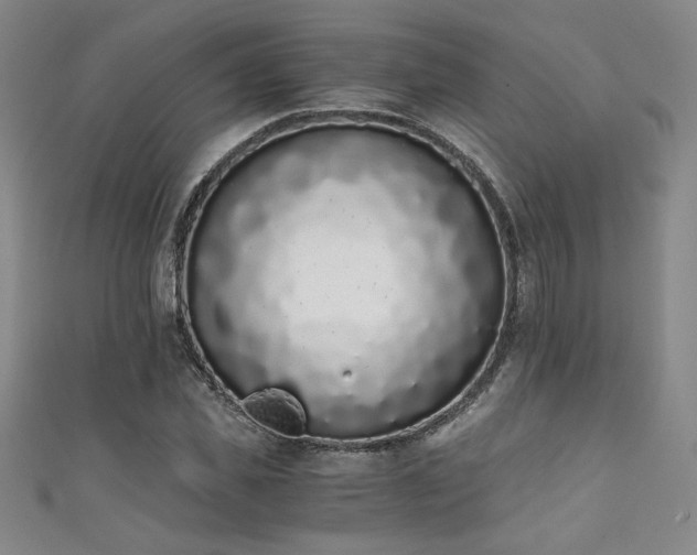 X0000111880925200907231532