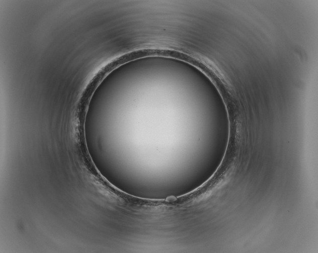 X0000111880926200907231532