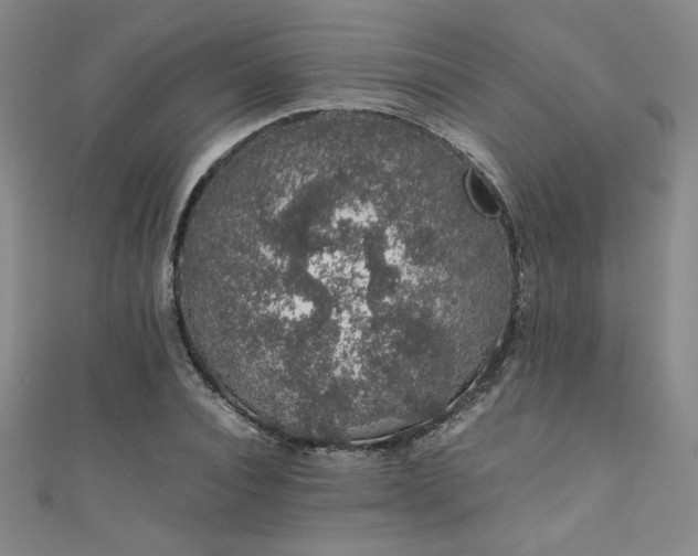 X0000111880928200907231532