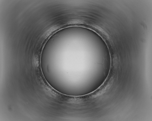 X0000111880929200907231532