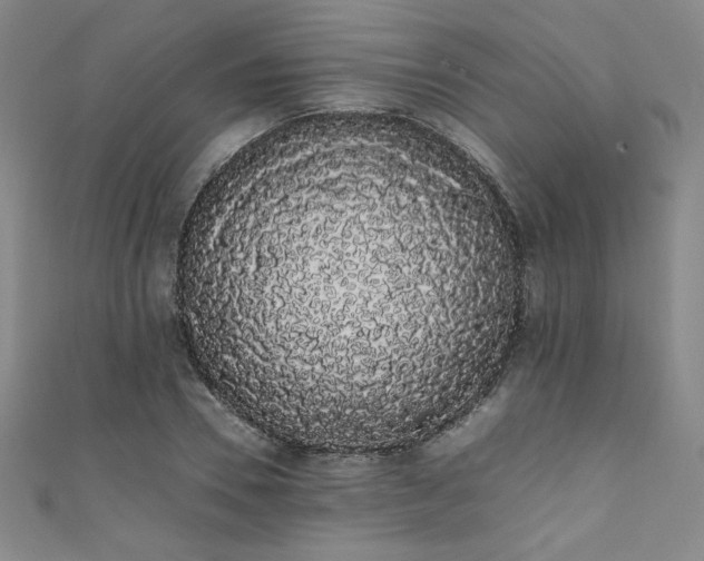 X0000111880930200907231532