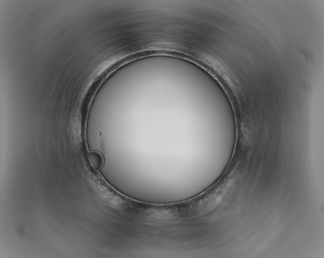 X0000111880931200907231532