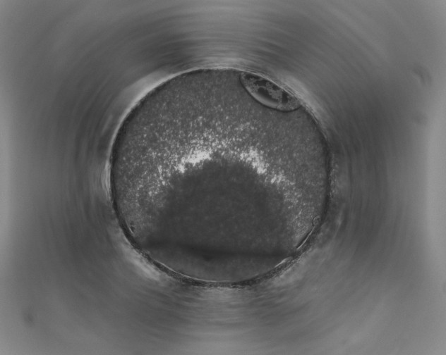 X0000111880932200907231532