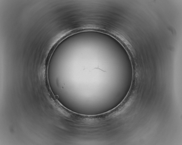 X0000111880933200907231532