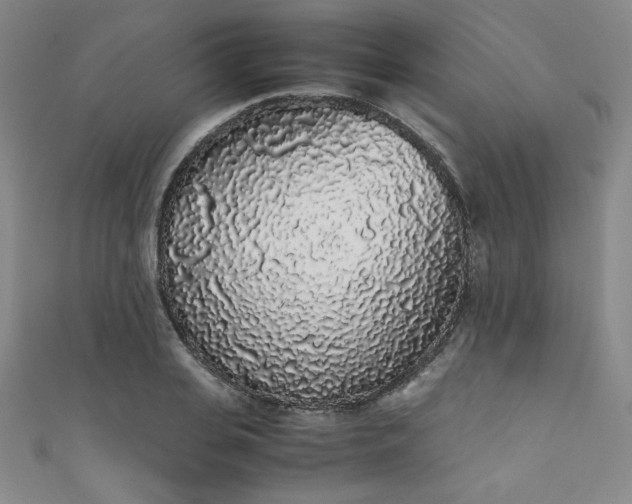 X0000111880935200907231532