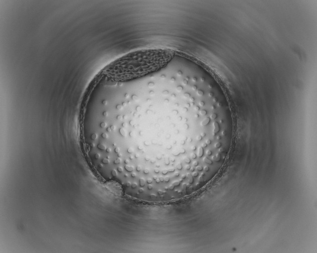 X0000111880936200907231532
