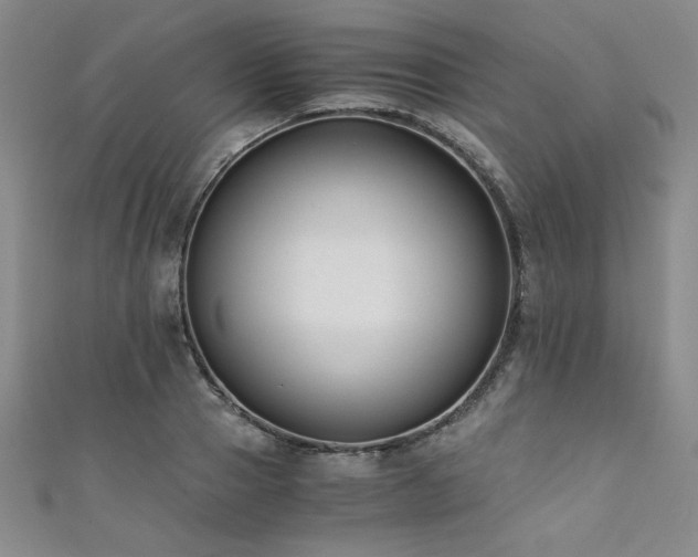 X0000111880937200907231532