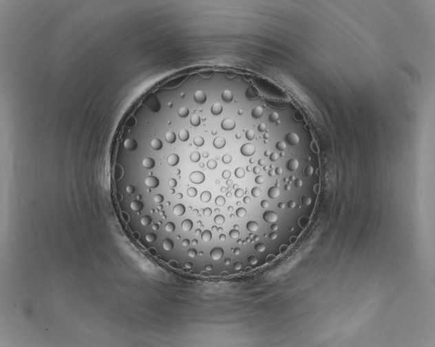 X0000111880940200907231532