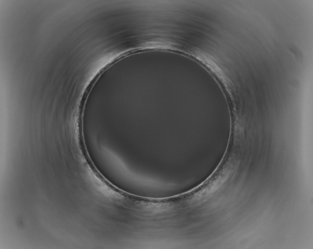 X0000111880941200907231532