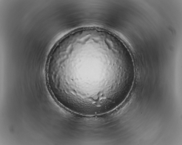 X0000111880943200907231532