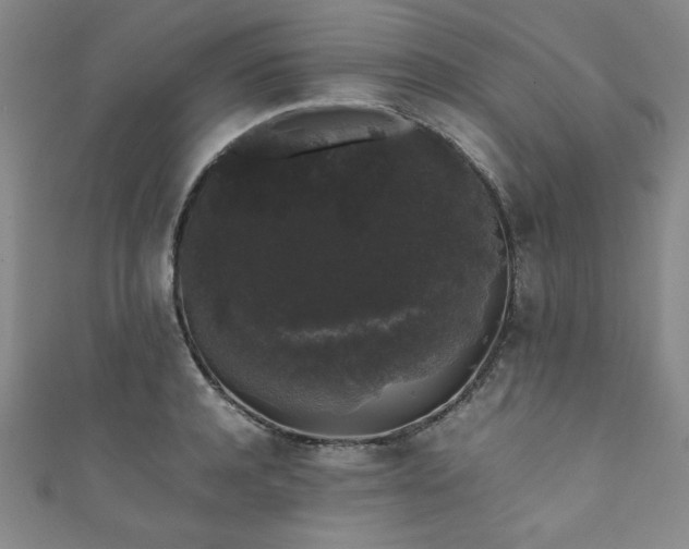 X0000111880944200907231532