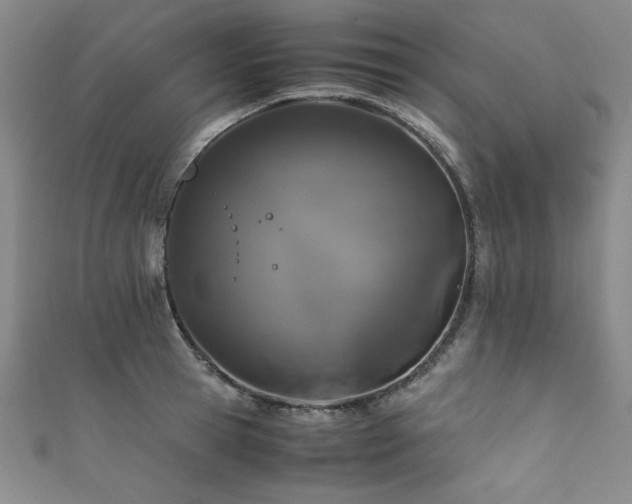 X0000111880945200907231532