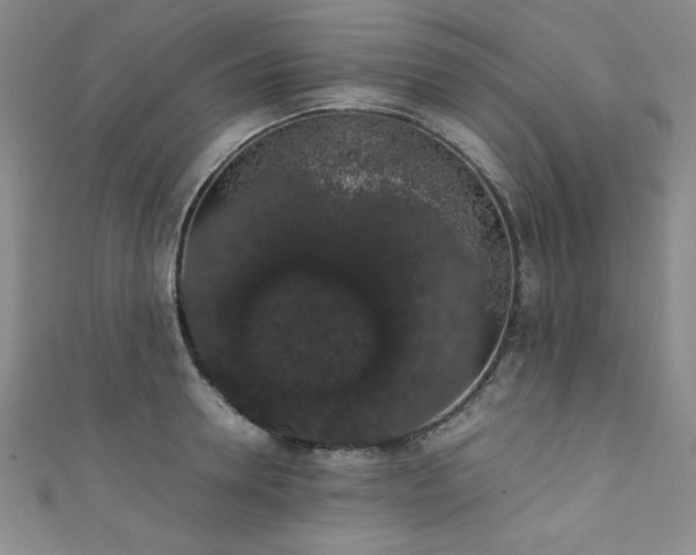 X0000111880946200907231532