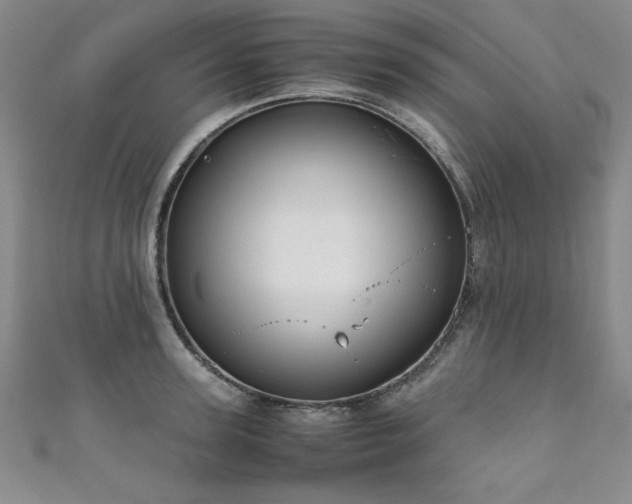 X0000111880947200907231532