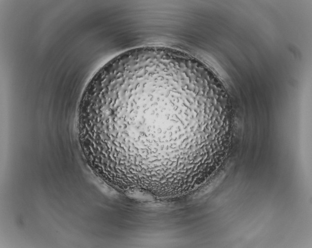 X0000111880948200907231532