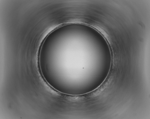 X0000111880949200907231532