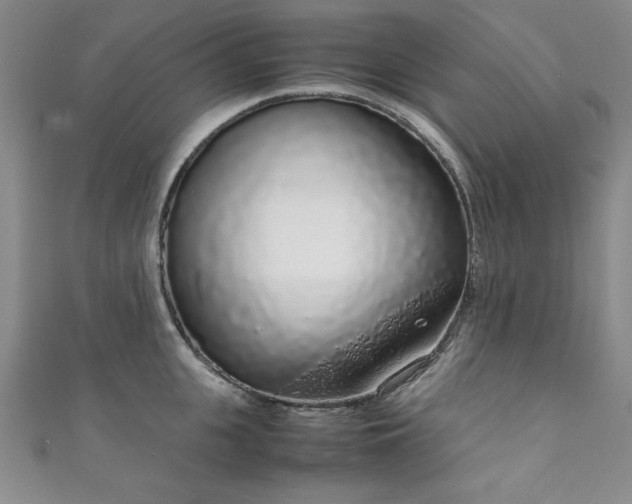X0000111880951200907231532