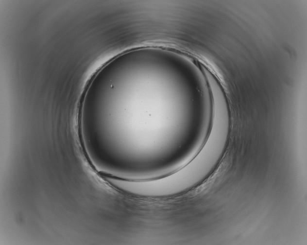 X0000111880952200907231532